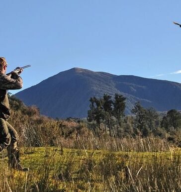 how far will bird shot travel