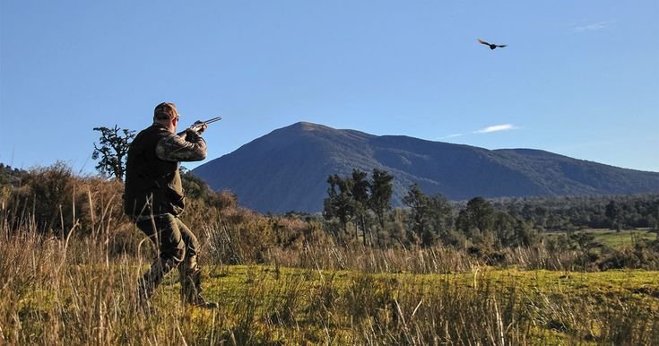 how far will bird shot travel